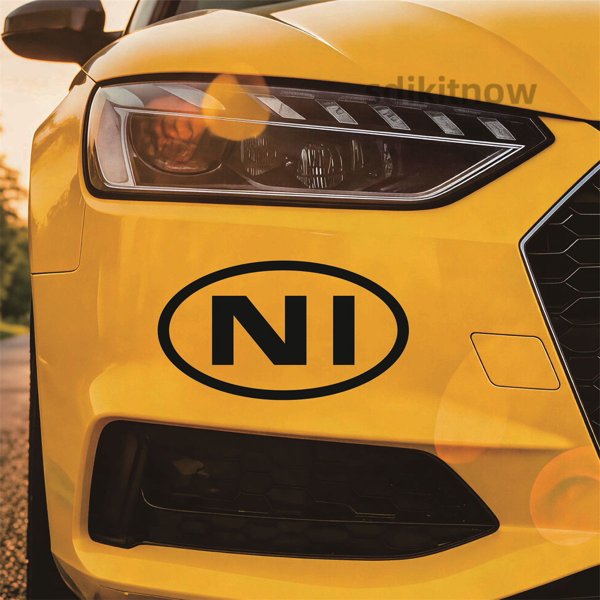 Oval Northern Ireland NI Lette - Car Accessories Ireland 评论和价格